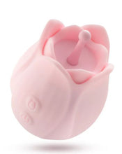 Load image into Gallery viewer, Play With Me Romantic Rose Pink