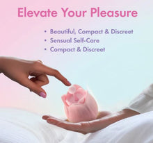 Load image into Gallery viewer, Play With Me Romantic Rose Pink