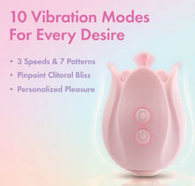 Load image into Gallery viewer, Play With Me Romantic Rose Pink