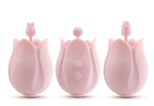 Load image into Gallery viewer, Play With Me Romantic Rose Pink