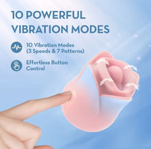 Load image into Gallery viewer, Blush Kissing Rose Pink