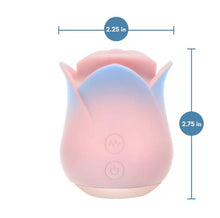 Load image into Gallery viewer, Blush Kissing Rose Pink