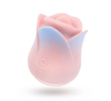 Load image into Gallery viewer, Blush Kissing Rose Pink