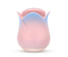 Load image into Gallery viewer, Blush Kissing Rose Pink