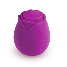 Load image into Gallery viewer, Skins Rose Buddies - The Rose Twirlz