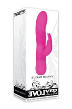 Load image into Gallery viewer, Evolved Sugar Bunny