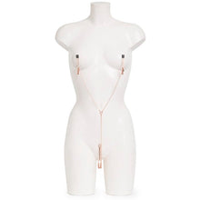 Load image into Gallery viewer, Fifty Shades Freed All Sensation Nipple & Clitoral Chain