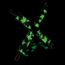 Load image into Gallery viewer, Stoner Vibes Hogtie Glow In Th Dark Chronic Collection