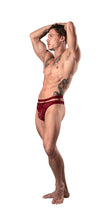 Load image into Gallery viewer, Lucifer Cutout Thong Burgundy S/m