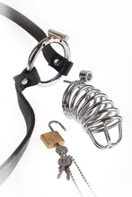 Load image into Gallery viewer, Fetish Fantasy Extreme Chastity Belt
