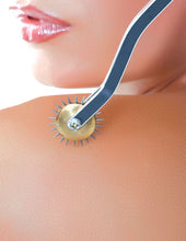 Load image into Gallery viewer, Fetish Fantasy Deluxe Wartenberg Wheel