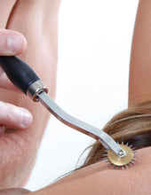 Load image into Gallery viewer, Fetish Fantasy Deluxe Wartenberg Wheel