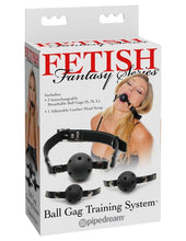 Load image into Gallery viewer, Fetish Fantasy Ball Gag Training System