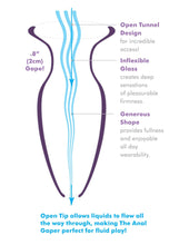 Load image into Gallery viewer, Anal Fantasy Elite Beginner's Anal Gaper