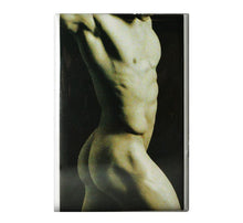 Load image into Gallery viewer, (d) Gaysentials Magnet Pack B