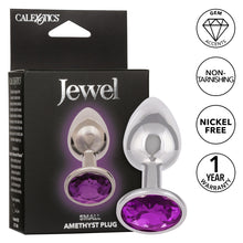 Load image into Gallery viewer, Jewel Small Amethyst Plug