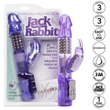 Load image into Gallery viewer, Jack Rabbit Purple W/p