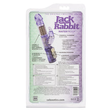Load image into Gallery viewer, Jack Rabbit Purple W/p
