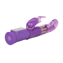 Load image into Gallery viewer, Shanes World Jack Rabbit G" Purple "