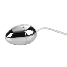 Load image into Gallery viewer, Pocket Exotics Vibrating Silver Egg