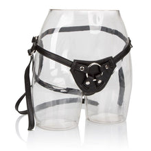 Load image into Gallery viewer, Her Royal Harness Countess (boxed)