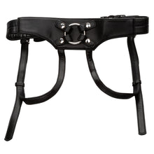 Load image into Gallery viewer, Her Royal Harness Empress (boxed)