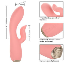 Load image into Gallery viewer, (wd) Uncorked Zinfandel