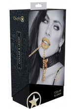 Load image into Gallery viewer, Ouch! Rome Collection Collar W/ Leash