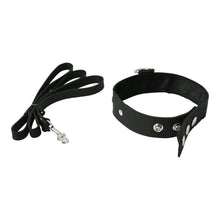 Load image into Gallery viewer, Premium Leather Leash & Collar