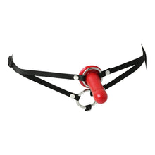 Load image into Gallery viewer, Menage A Trois Double Pen. Harness