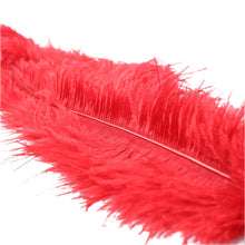 Load image into Gallery viewer, Ostrich Feather Red