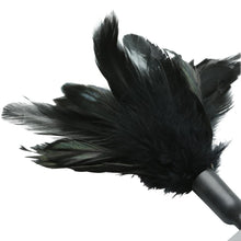 Load image into Gallery viewer, Starburst Feather Black