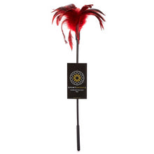 Load image into Gallery viewer, Starburst Feather Red