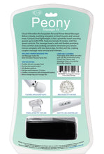 Load image into Gallery viewer, Cloud 9 Health & Wellness Wand Kit 30 Function White