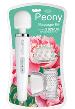 Load image into Gallery viewer, Cloud 9 Health & Wellness Wand Kit 30 Function White