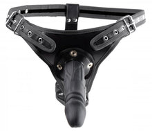 Load image into Gallery viewer, Strict Double Chamber Intimate Harness