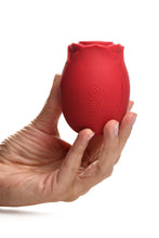 Load image into Gallery viewer, Bloomgasm Orchid Wild Pinpoint Rose Tickler