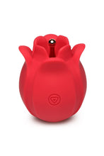 Load image into Gallery viewer, Bloomgasm Orchid Wild Pinpoint Rose Tickler