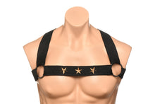 Load image into Gallery viewer, Master Series Elastic Chest Harness W/ Arm Bands S/m