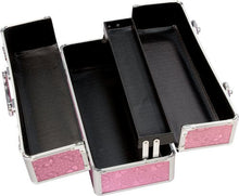 Load image into Gallery viewer, Lockable Vibrator Case Pink Large
