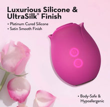 Load image into Gallery viewer, Blush Collection The Original Blush Rose - Velvet
