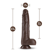 Load image into Gallery viewer, Dr Skin Dr Murphy 8in Dildo Thrusting Chocolate
