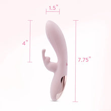 Load image into Gallery viewer, Blush Morgan Pink
