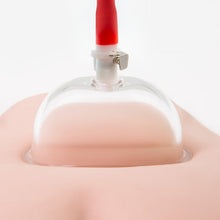 Load image into Gallery viewer, Temptasia Intense Pussy Pump System
