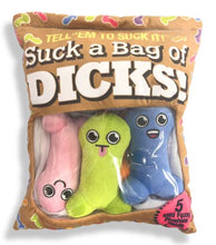 Load image into Gallery viewer, Plushy Pillow Suck A Bag Of Dicks
