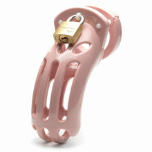 Load image into Gallery viewer, The Curve Pink Kit W/ 3.75 Cage Complete "
