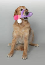 Load image into Gallery viewer, Scruffy Bunny Vanderpump Dog Toy
