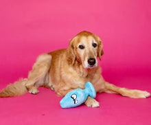 Load image into Gallery viewer, Scruffy Mutt Plug Mcruff Dog Toy
