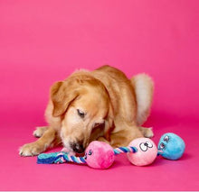 Load image into Gallery viewer, Scruffy Tug Buttons Dog Toy
