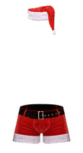Load image into Gallery viewer, St. Dick Short Red S/m
